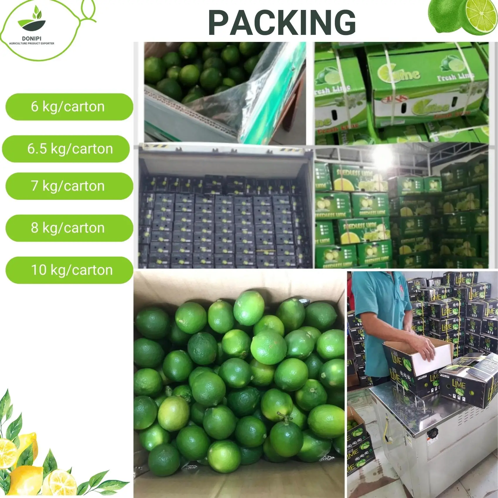 Comprehensive manual for Seedless lime without Seeds 10 Seedless Lime A Comprehensive Guide