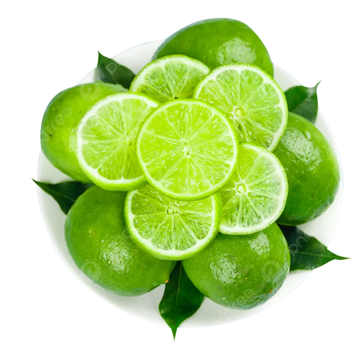 Comprehensive manual for Seedless lime without Seeds 2 Seedless Lime A Comprehensive Guide