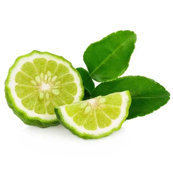 Comprehensive manual for Seedless lime without Seeds 5 Seedless Lime A Comprehensive Guide
