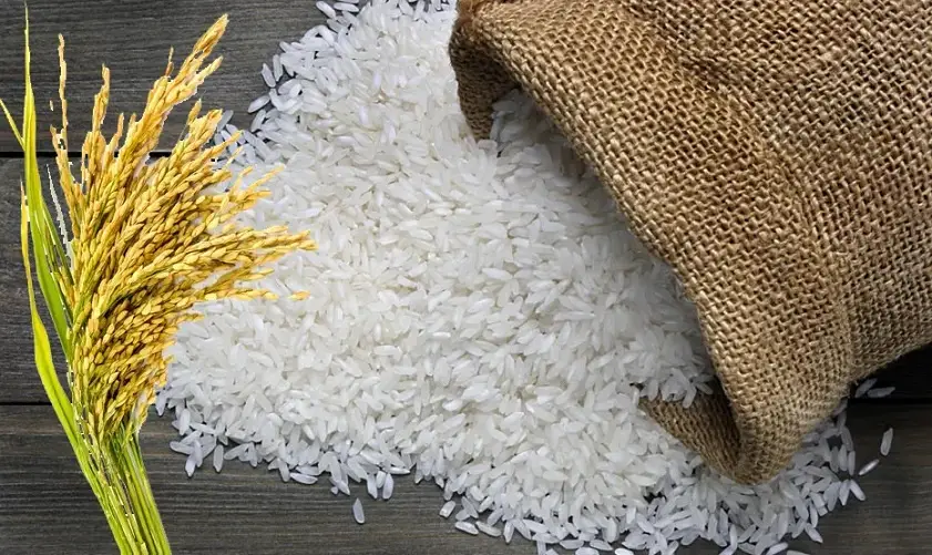 The Irresistible Appeal of Broken Rice: A Vietnamese Specialty 7 The Allure of Broken Rice A Vietnamese Culinary Delicacy