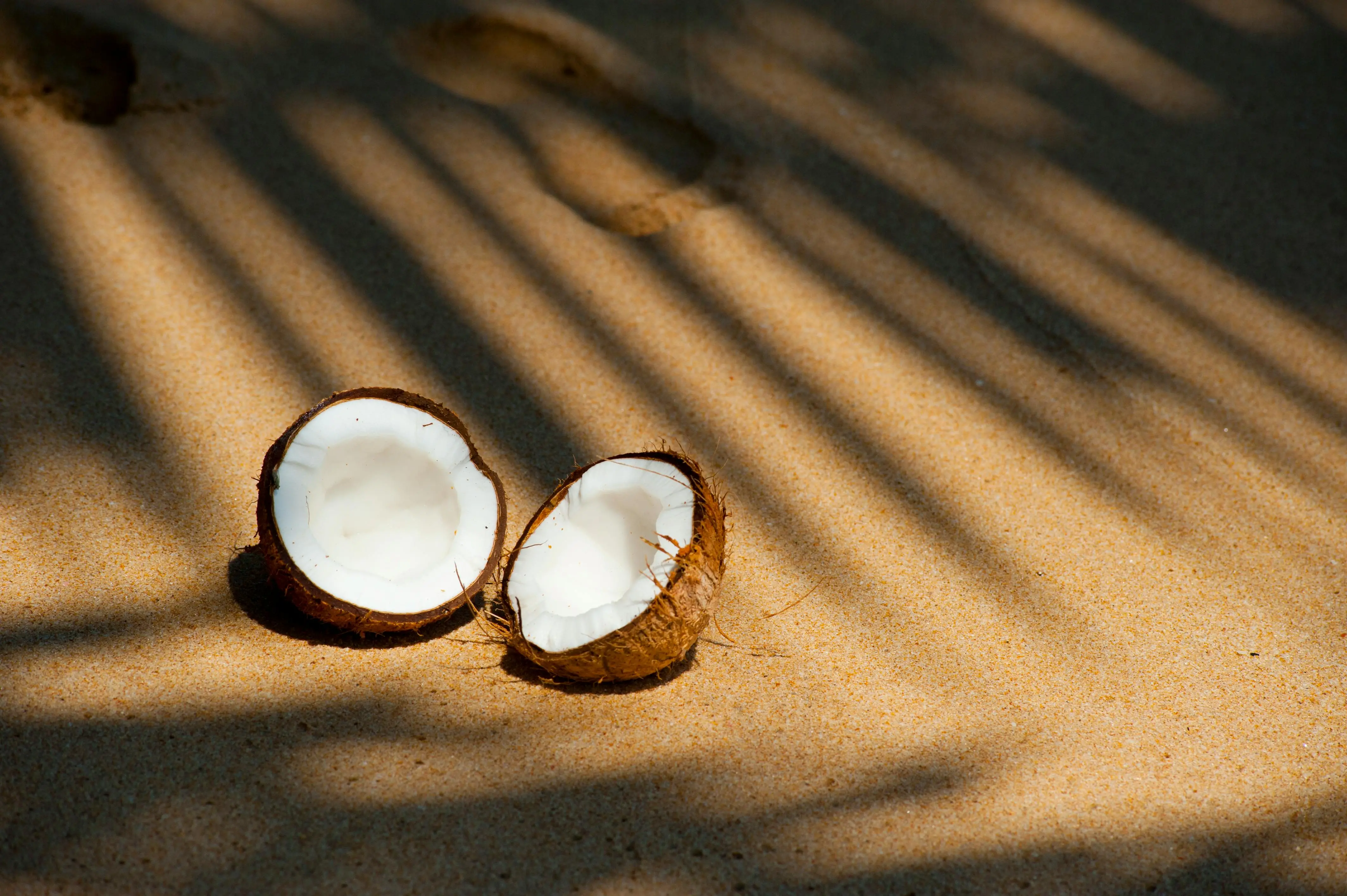 Top 10 Health Benefits of Desiccated Coconut 2 Desiccated Coconut Nutritional Benefits, Uses, and More