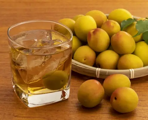 #1 Exploring the Vineyards of Apricot Wine in Vietnam 4 Apricot Wine A Comprehensive Guide