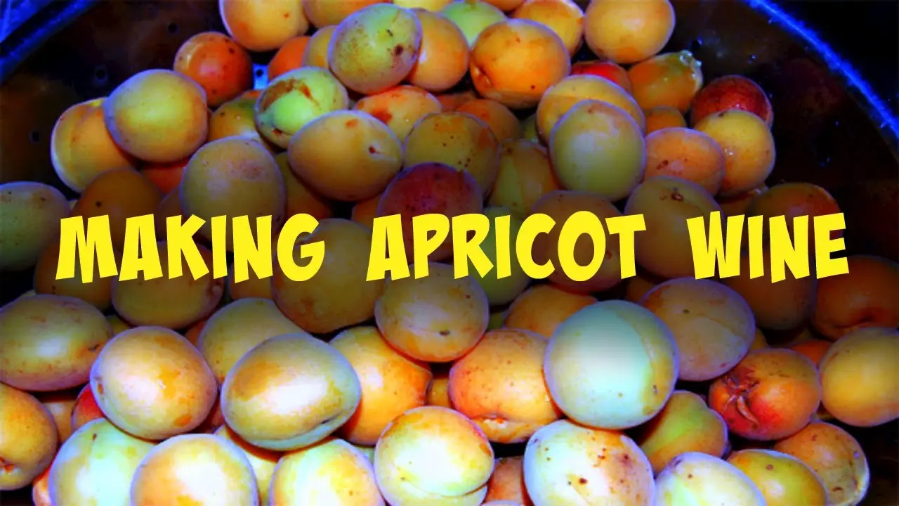 #1 Exploring the Vineyards of Apricot Wine in Vietnam 3 Apricot Wine A Comprehensive Guide
