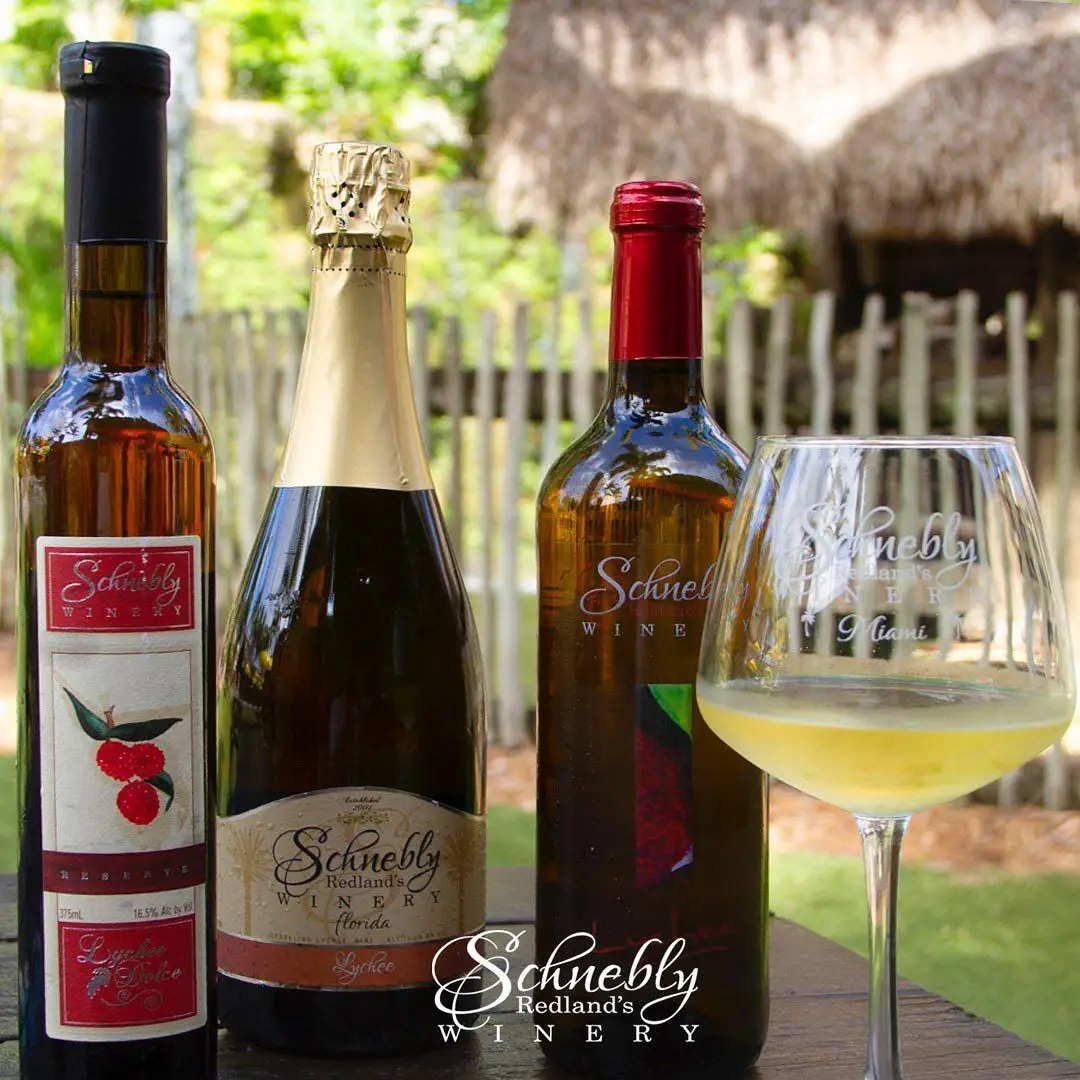 #10 Exploring the Unique Flavor Profile of Lychee Wine 3 The Allure of Lychee Wine