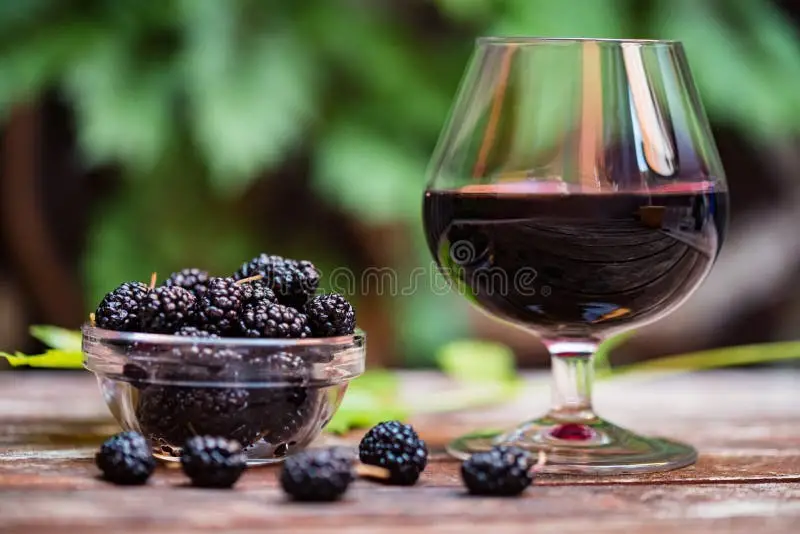 #1 Mulberry Wine Storage and Aging Tips 11 Mulberry Wine