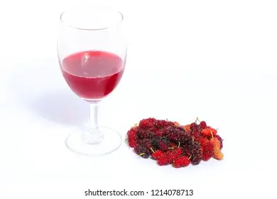 #1 Mulberry Wine Storage and Aging Tips 6 Mulberry Wine