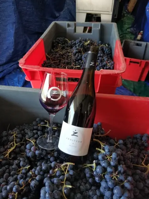 Vietnamese Wine A Growing Industry 4 Vietnamese Wine A Growing Industry