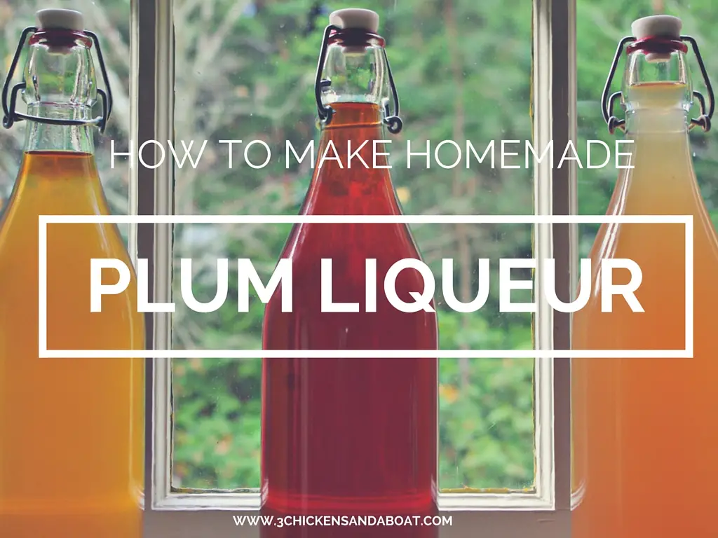#10 Global Market Trends for Plum Liqueur #10 Global Market Trends for Plum Liqueur