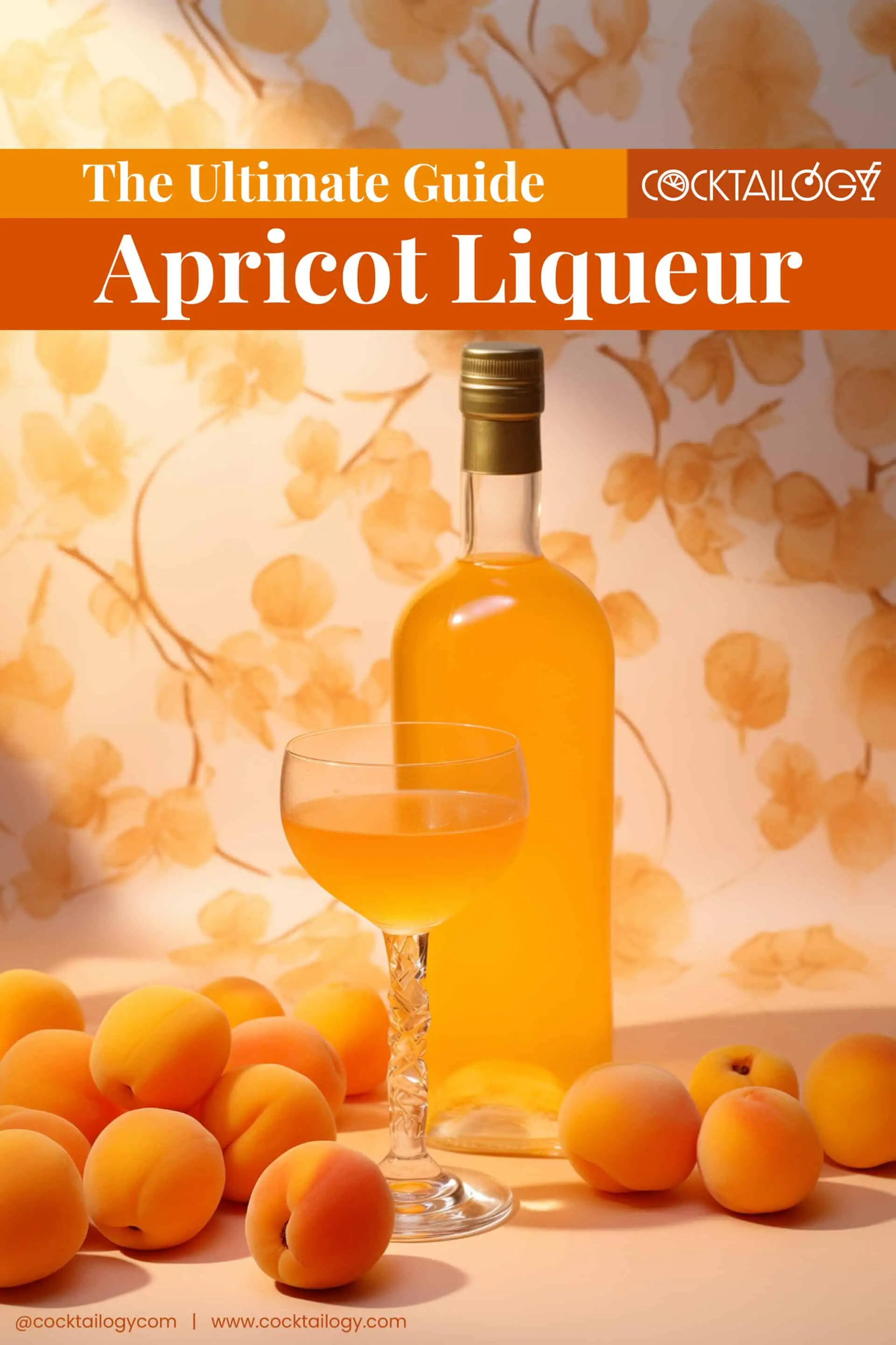 History of Apricot Liqueur History of Apricot Liqueur