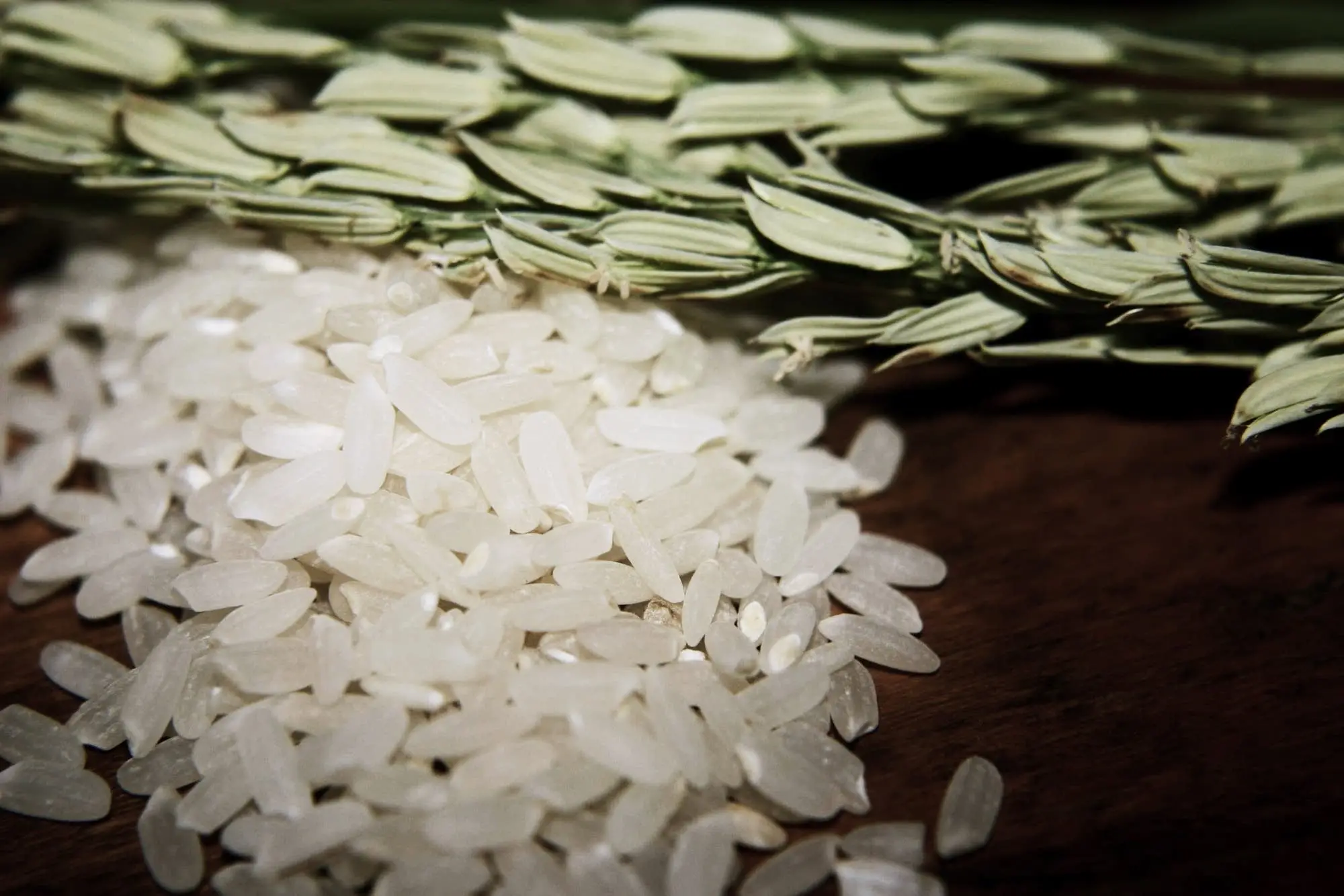 Glutinous Rice Liquor A Connoisseur's Guide Glutinous Rice Liquor A Connoisseur's Guide