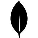 MongoDB MongoDB
