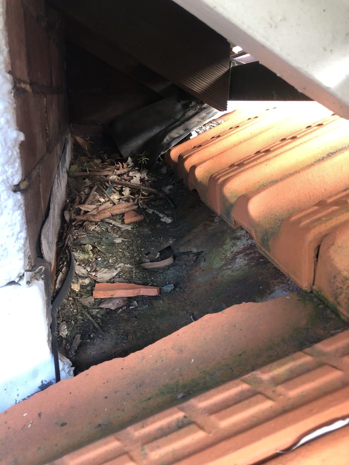 Leaking Repair Sydney — Pacific Handyman