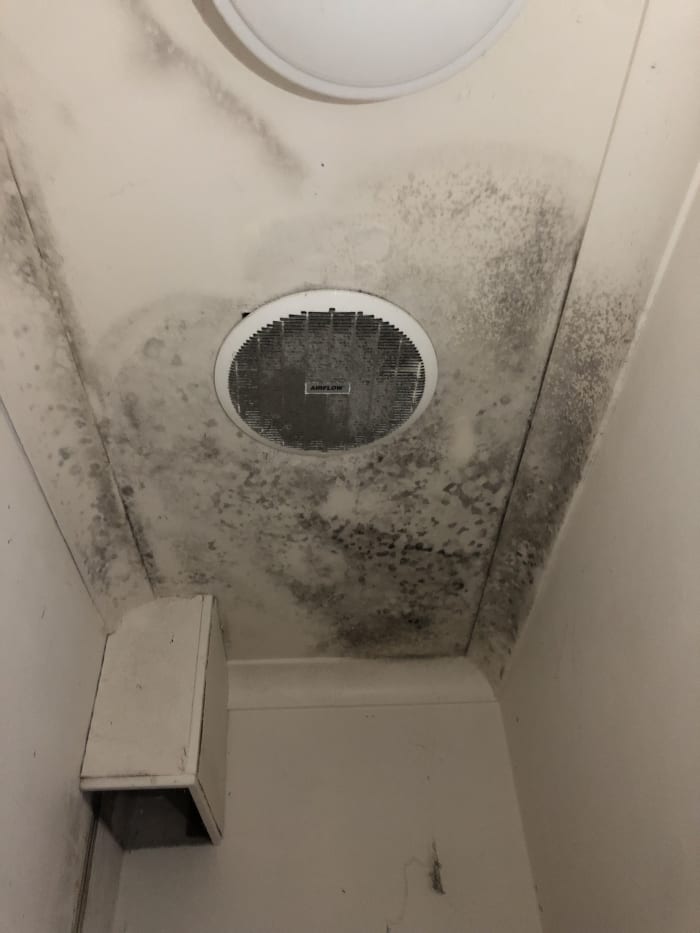 Leaking Repair Sydney — Pacific Handyman