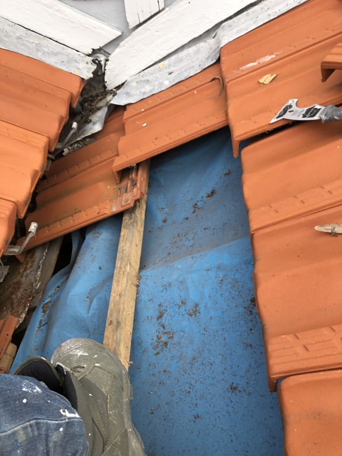Leaking Repair Sydney — Pacific Handyman