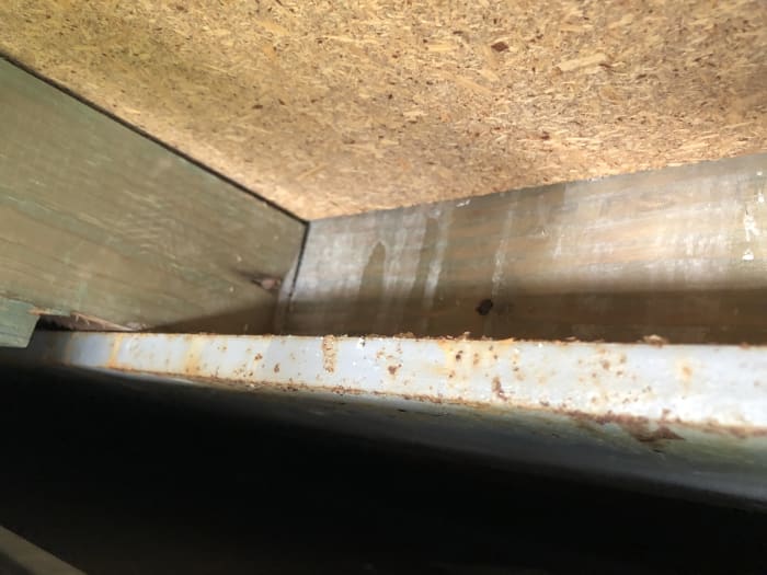 Leaking Repair Sydney — Pacific Handyman
