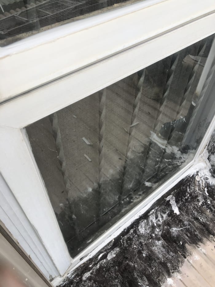 Leaking Repair Sydney — Pacific Handyman
