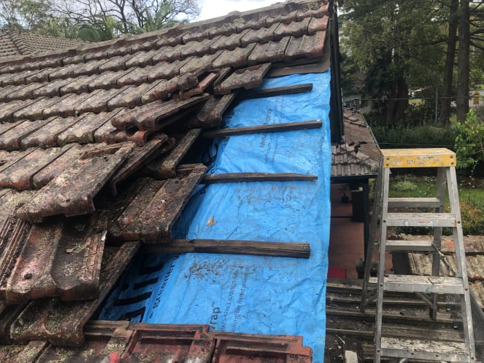 Leaking Repair Sydney — Pacific Handyman