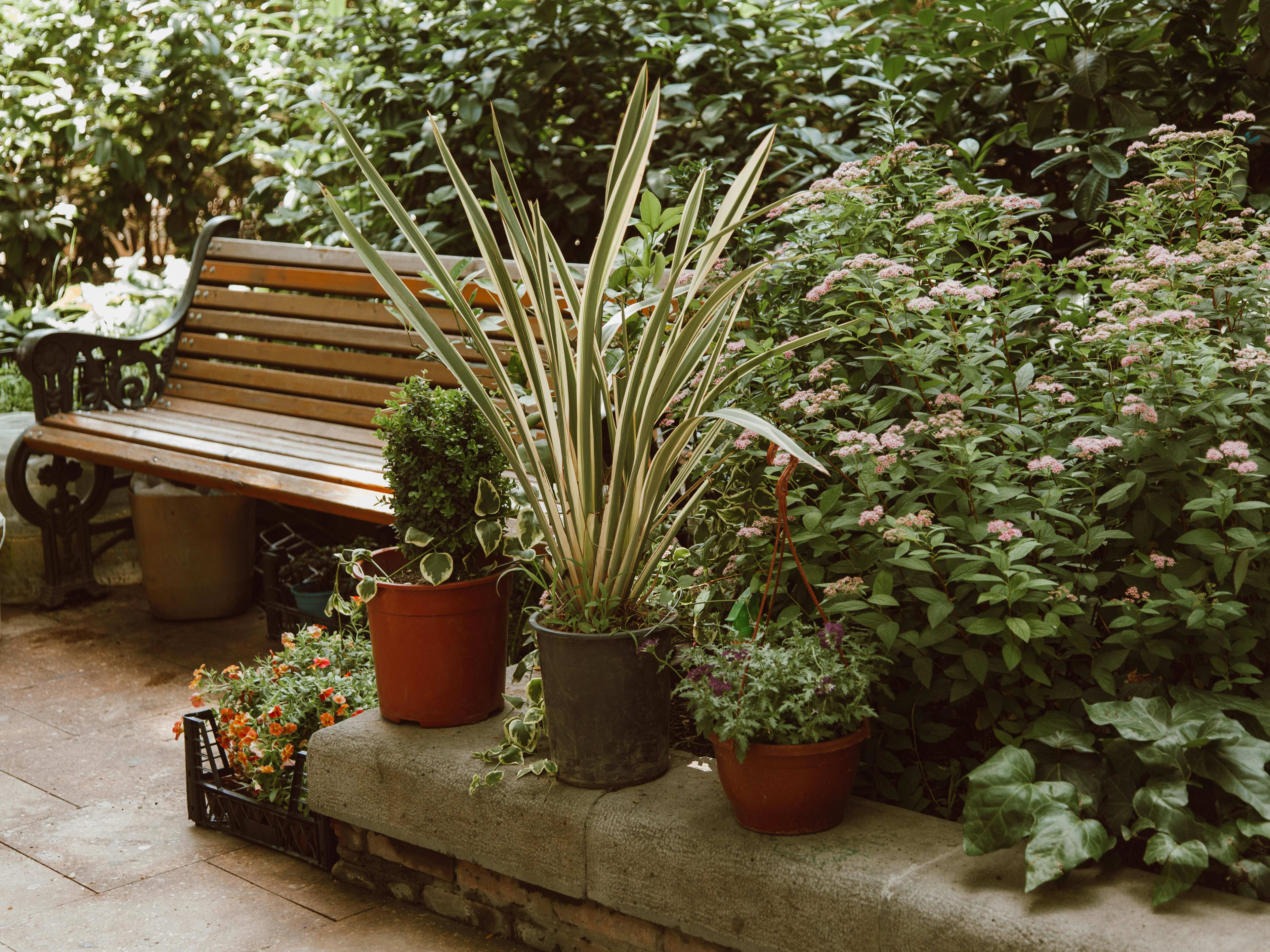 Garden — slide 3