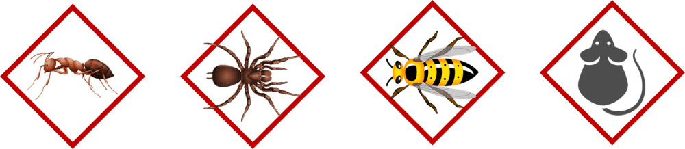 Ants, spiders, wasps and mice