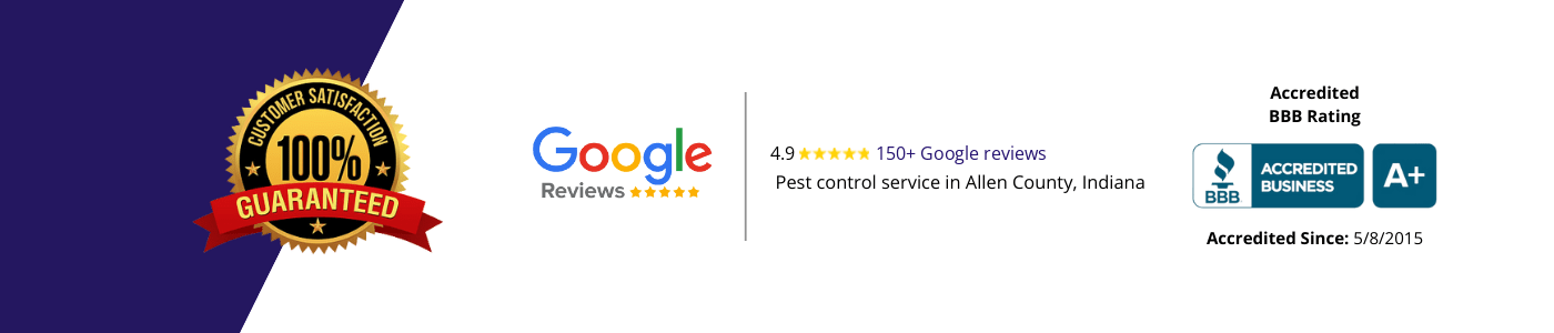 100% satisfaction guaranteed, rated 4.9 stars from 150 Google reviews, BBB A+ accredited since 2015