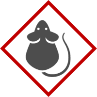 MICE & RODENTS