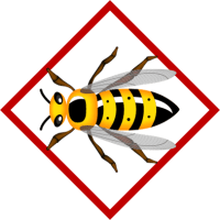 BEES & WASPS