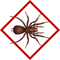 SPIDERS