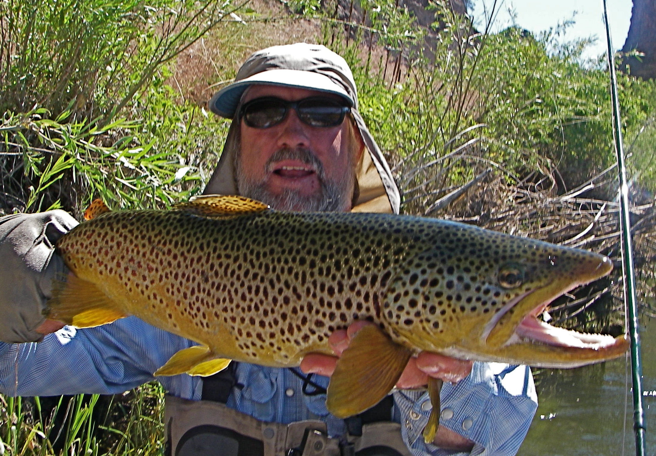 Fishing Guides In Montana
