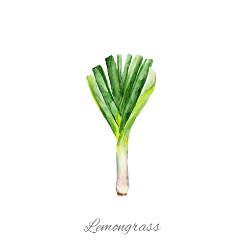 Lemongrass FR ING 2023