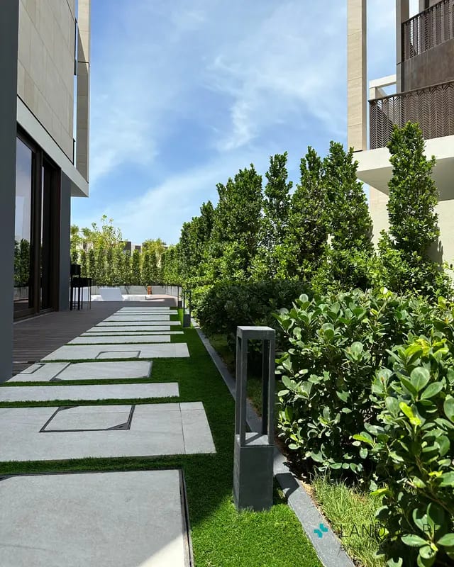 The Secret to a Low-Maintenance Garden in Dubai’s Climate