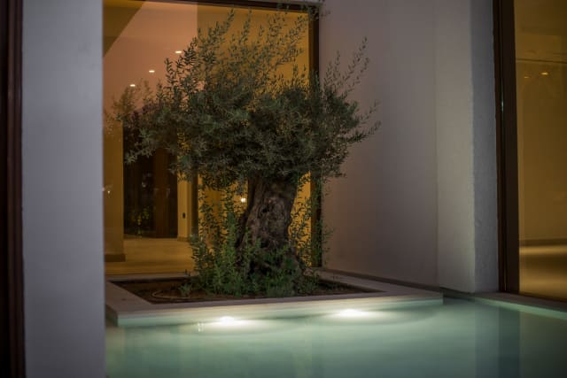 Landscape Lighting Design for Pathways and Feature Areas in Dubai Villas 2026