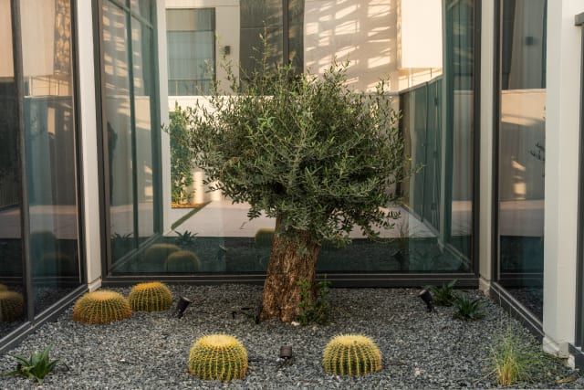 Rock Garden Design Concepts for Contemporary UAE Villa Landscapes