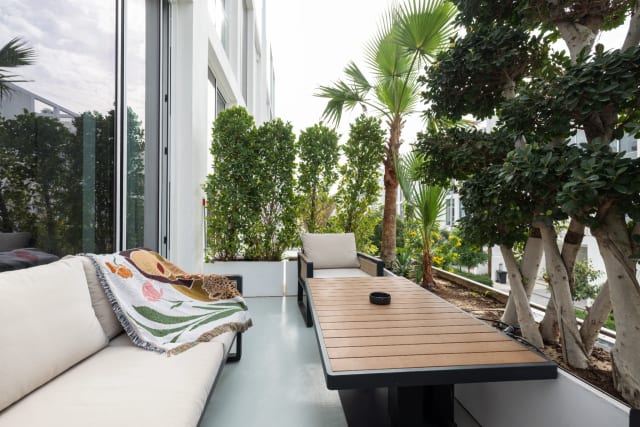 Sculptural Planting Design Ideas for Luxury UAE Landscapes