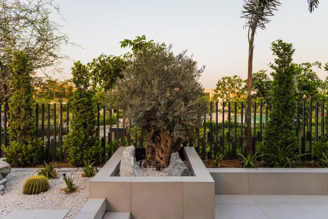 Landscape Design for Villa Boundary Walls and Property Edges in Dubai