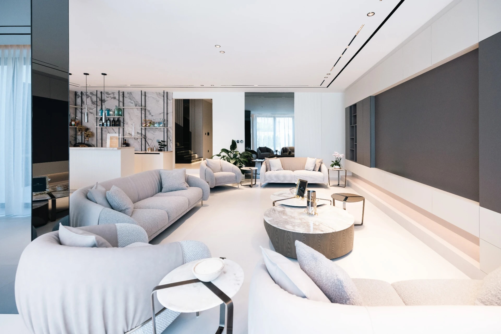 Modern Luxury Living Space