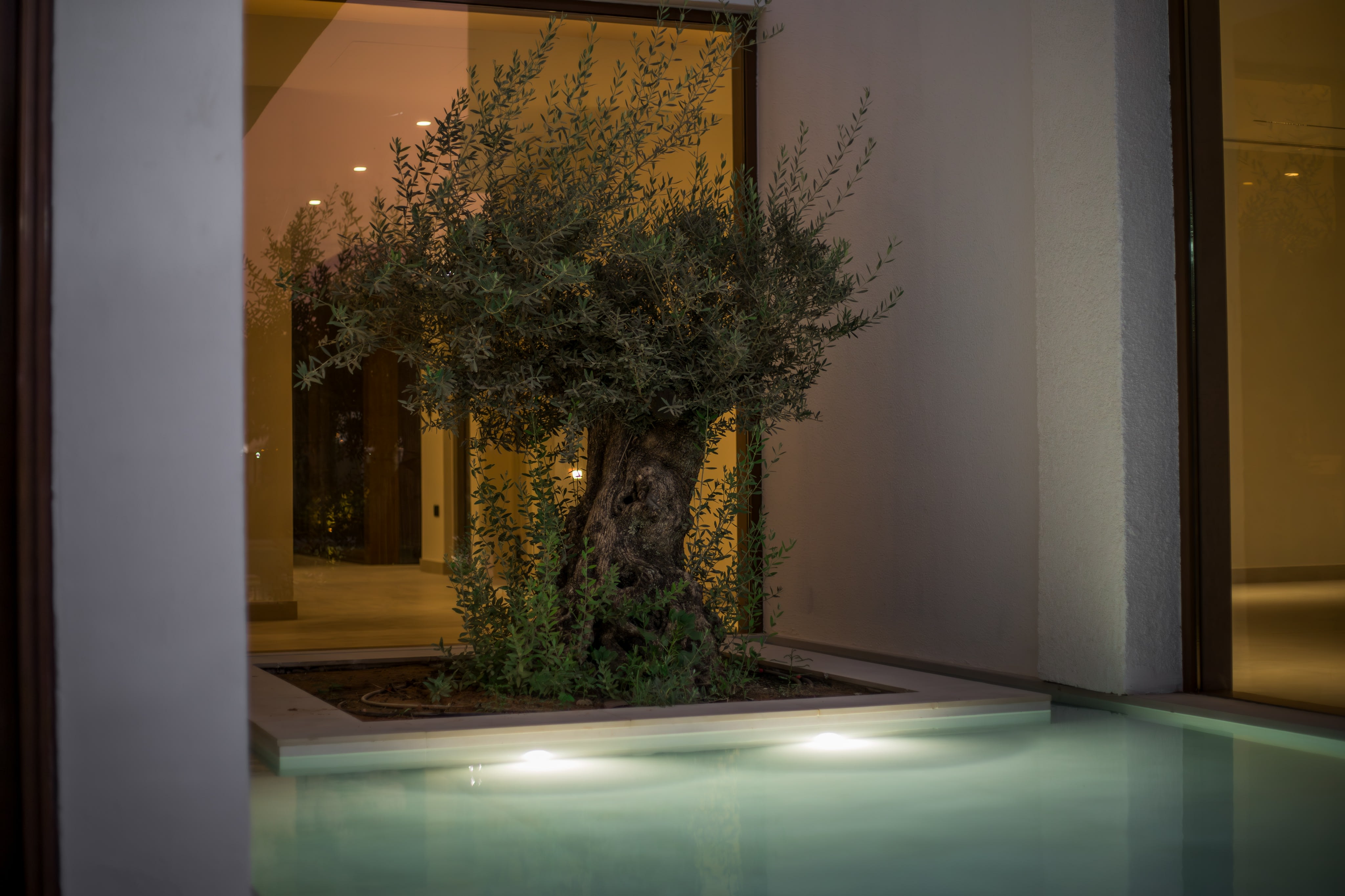 Landscape Lighting Design for Pathways and Feature Areas in Dubai Villas 2026