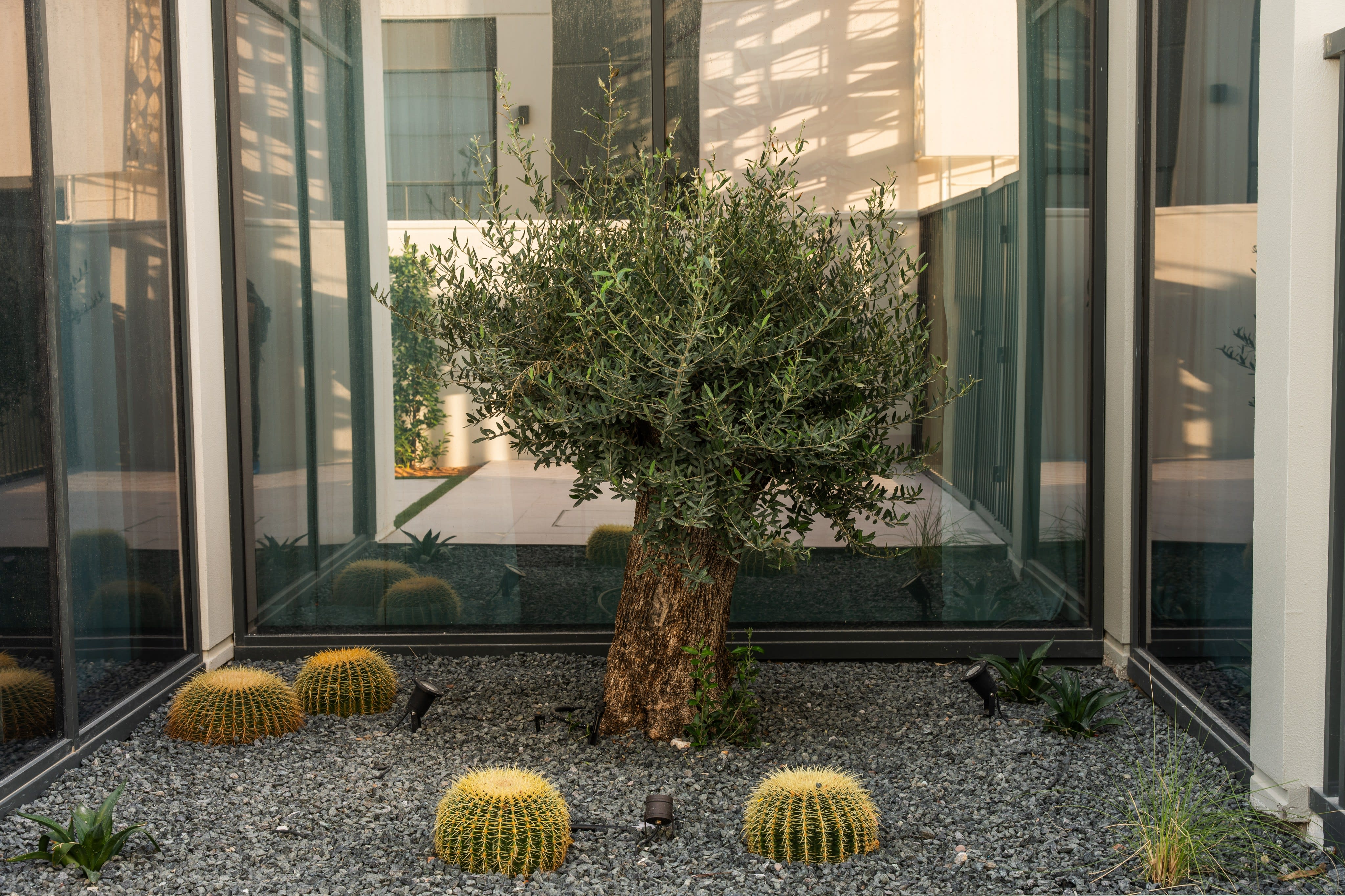 Rock Garden Design Concepts for Contemporary UAE Villa Landscapes