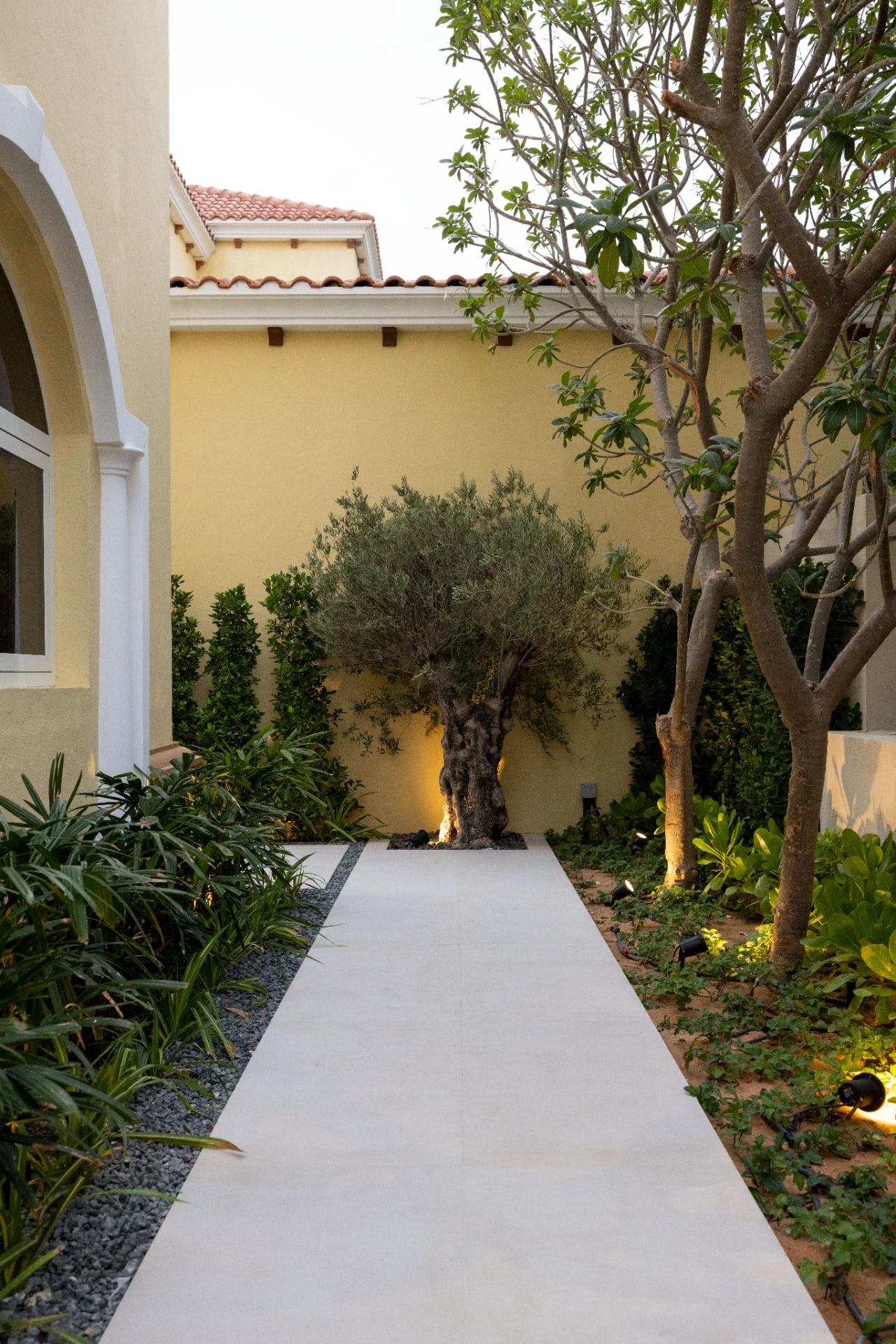 Modern Desert Villa Landscape