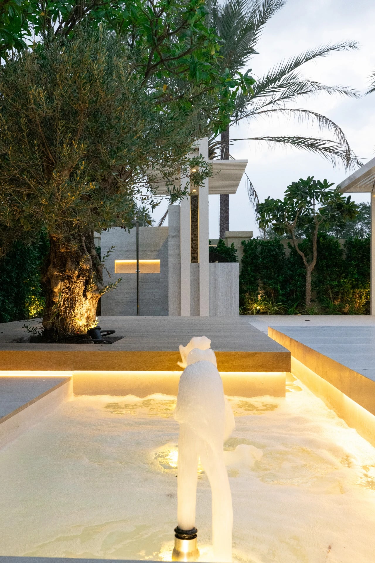 Modern Desert Villa Landscape