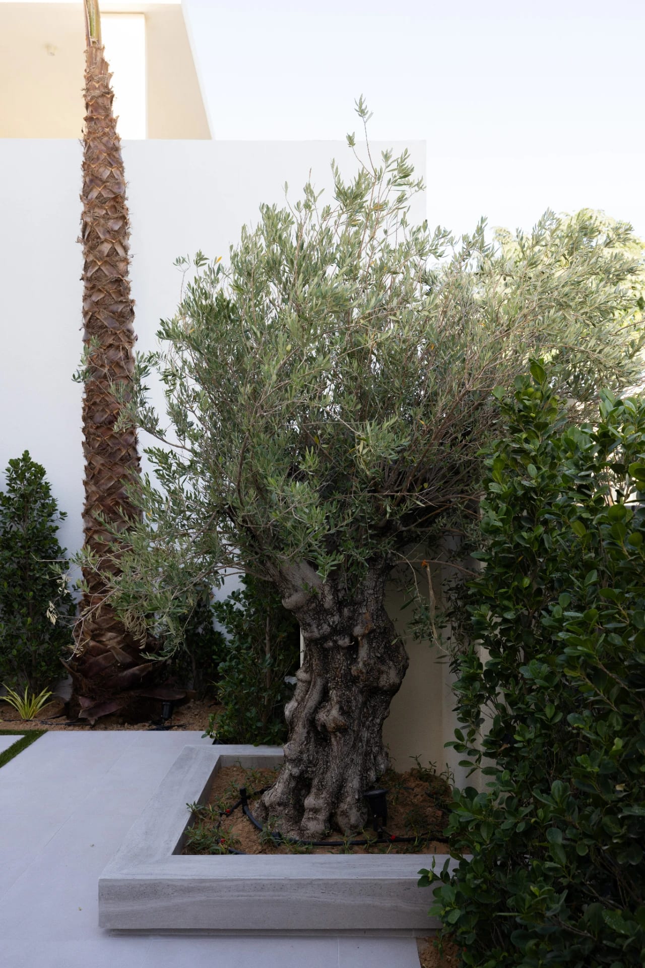 Modern Pergola Pool Garden - Tilal Al Ghaf