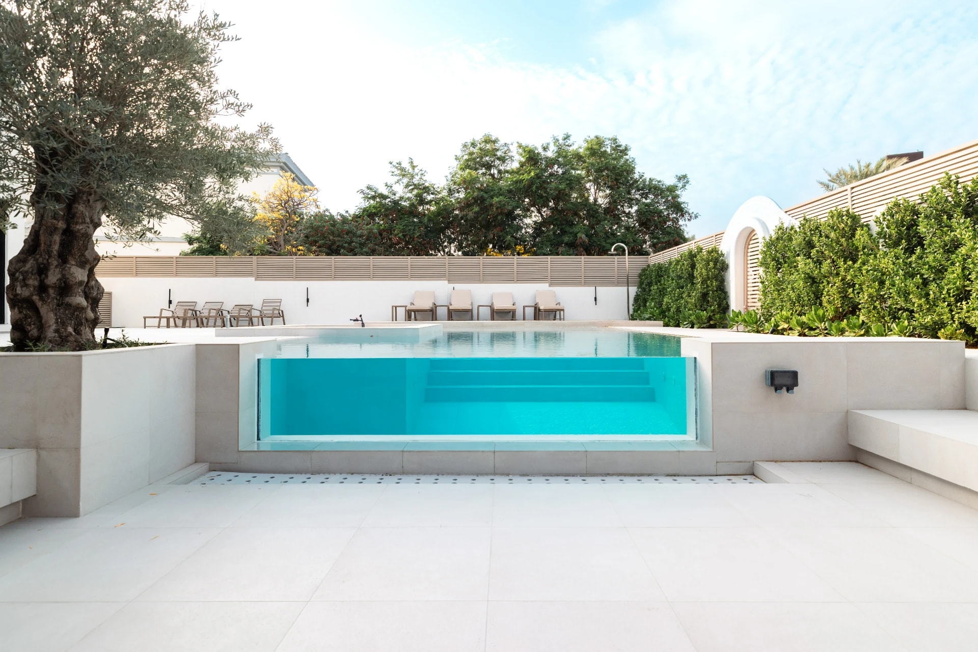 Contemporary Villa Landscape & Pool Design