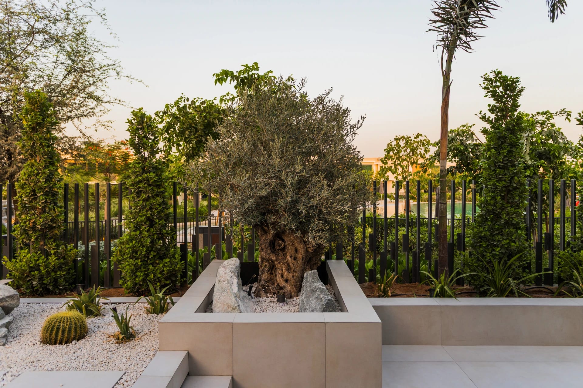 Tilal Al Ghaf - Landscape - Desert Balance