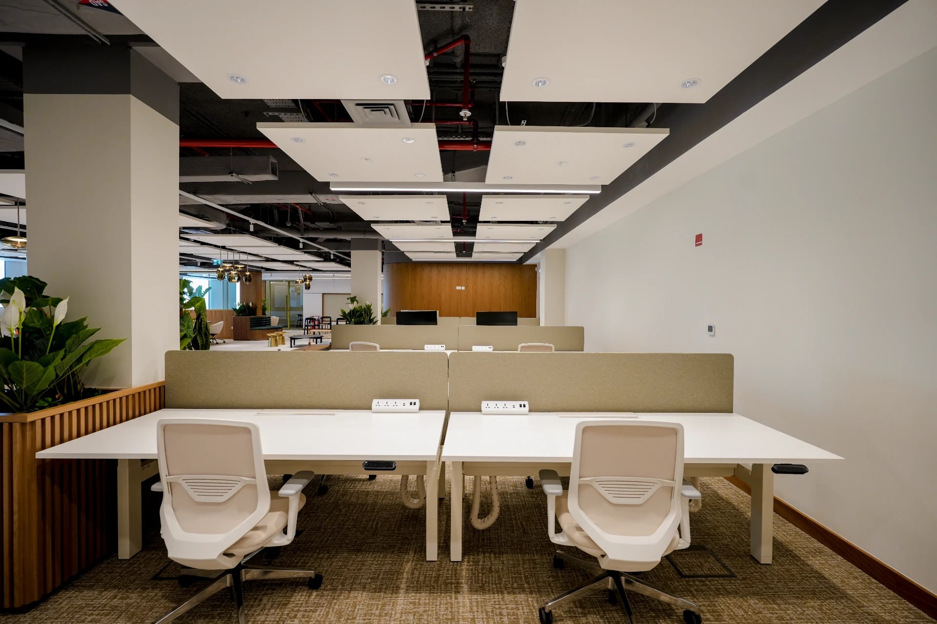 Abu Dhabi - Interior - Commercial Office