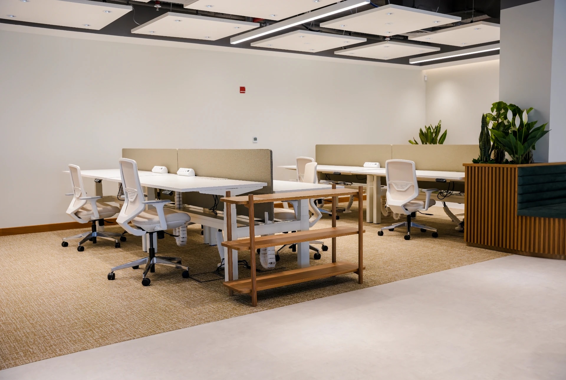Abu Dhabi - Interior - Commercial Office