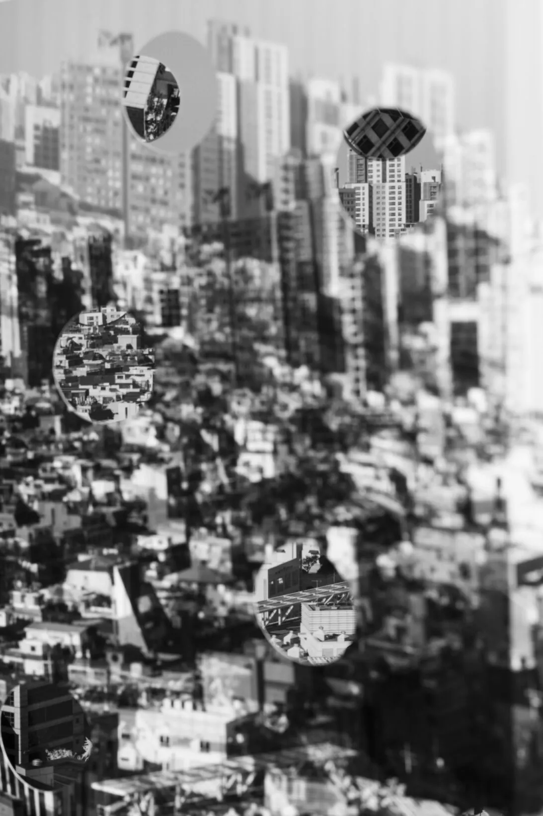 POLYSEMIC FUNDUS / SEOUL