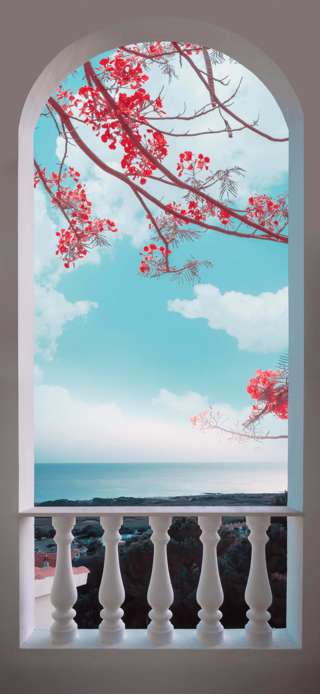 Serene coastal view through white arched window with red flowering branches framing turquoise sky and ocean horizon