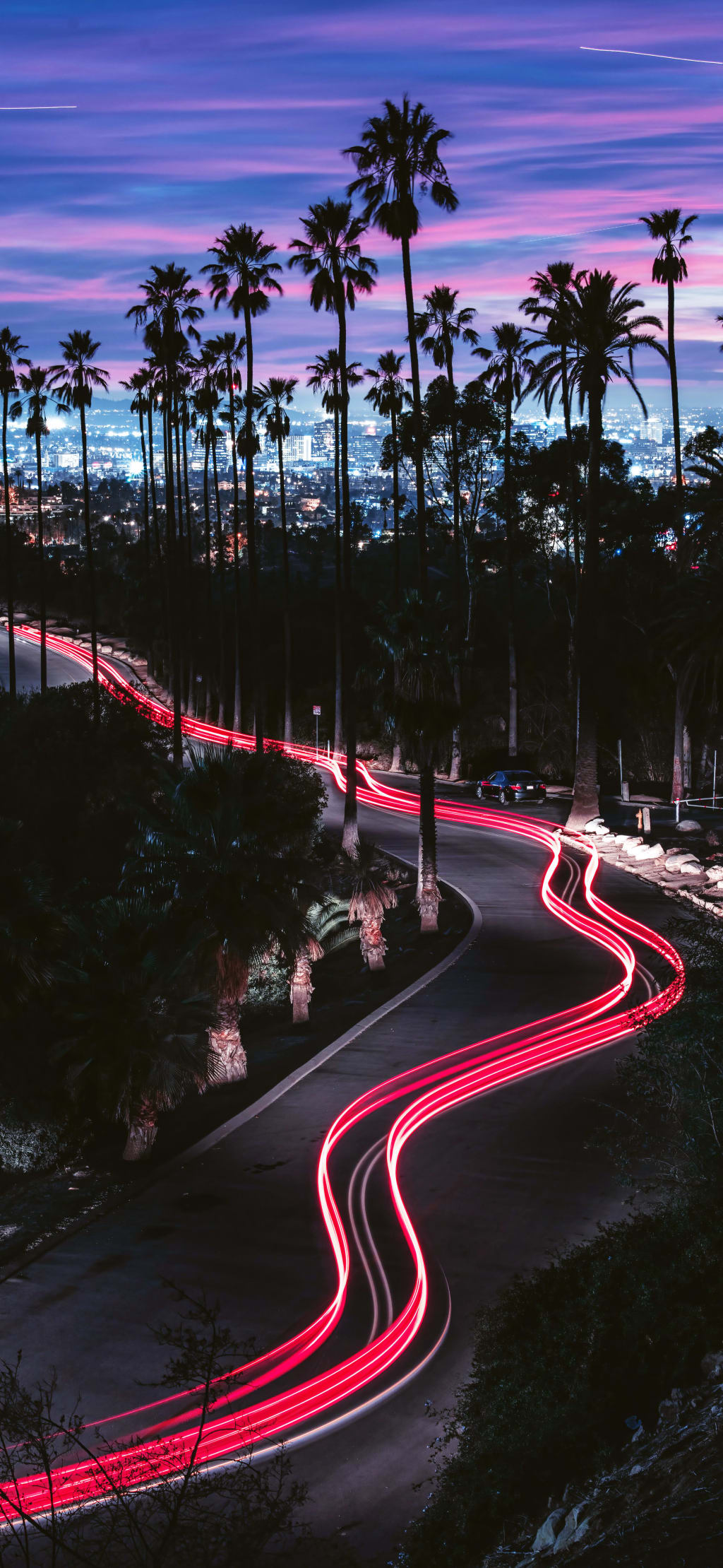 Neon pink light trails wind through palm trees at dusk with city skyline glowing in purple and blue twilight sky