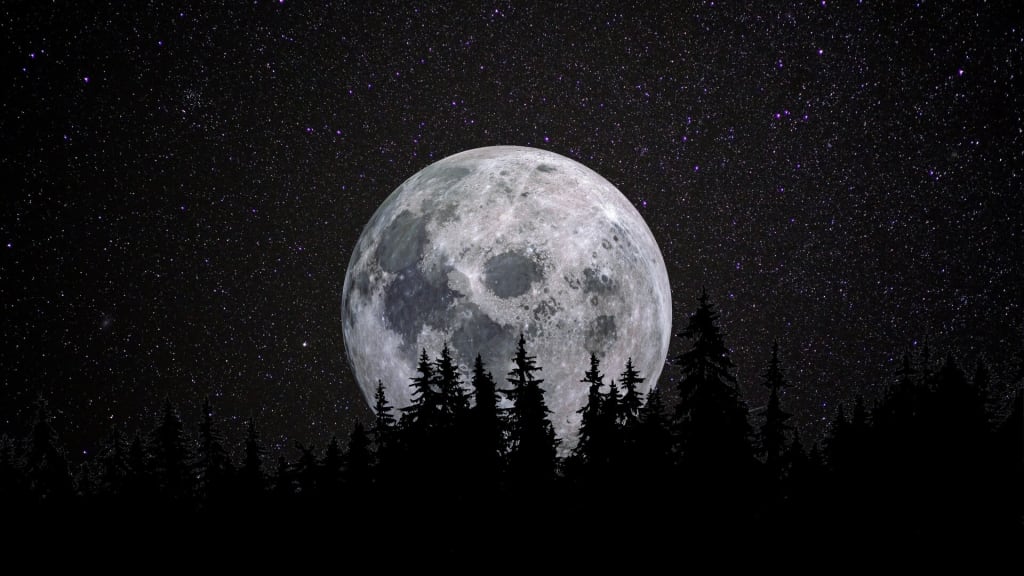 Full moon rising behind dark forest treeline with starry night sky, creating a mystical celestial landscape with silhouetted