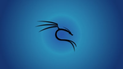 Black dragon silhouette with flowing lines against a deep blue gradient background, featuring elegant curved details and exte