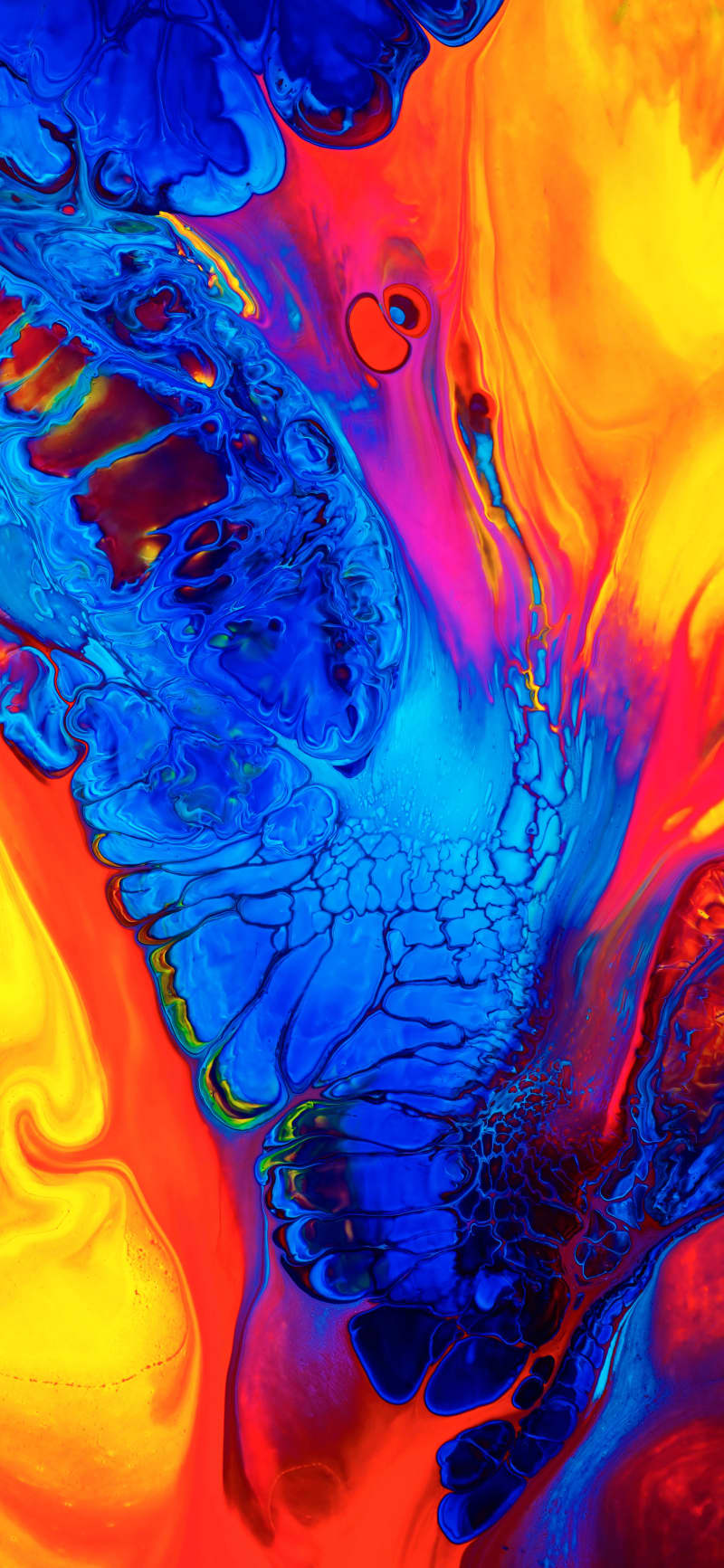 Vibrant Liquid Color Flow